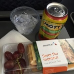 Inside an American Airlines Fruit and Cheese Plate