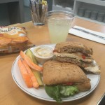 Review: American Airlines Admiral’s Club Chicken Hummus Sandwich