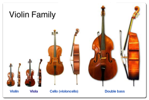 Violin-family
